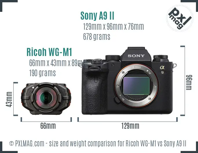 Ricoh WG-M1 vs Sony A9 II size comparison