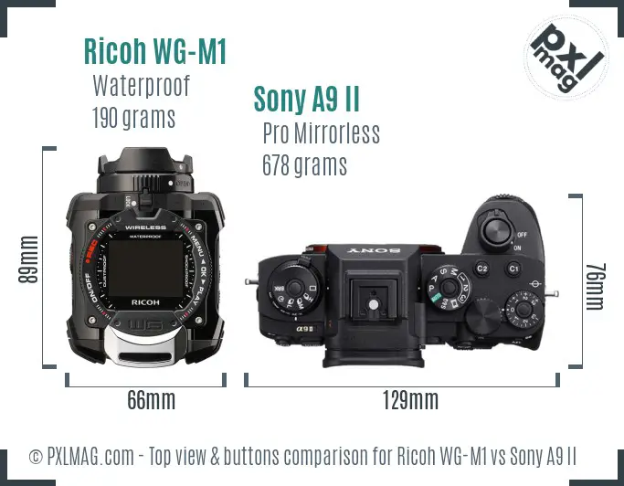 Ricoh WG-M1 vs Sony A9 II top view buttons comparison