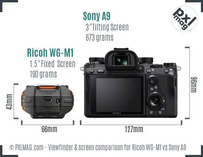 Ricoh WG-M1 vs Sony A9 Screen and Viewfinder comparison