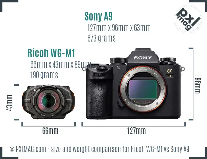 Ricoh WG-M1 vs Sony A9 size comparison