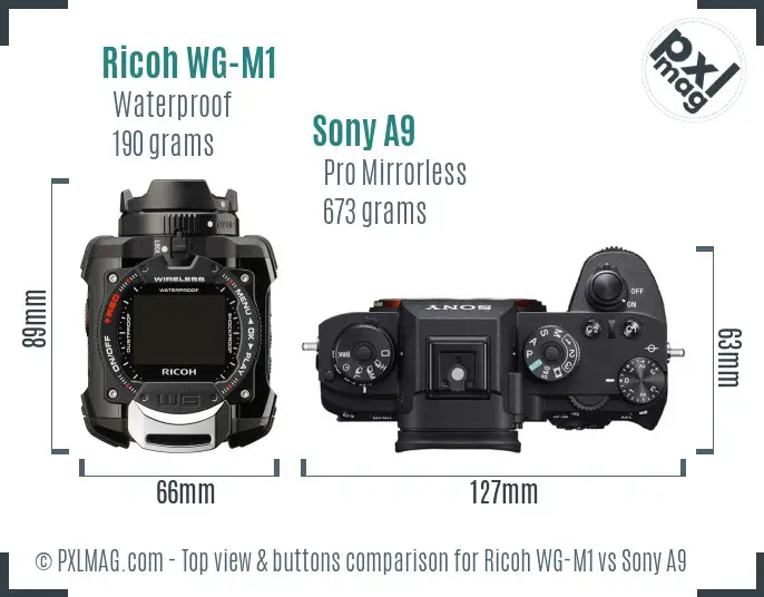 Ricoh WG-M1 vs Sony A9 top view buttons comparison