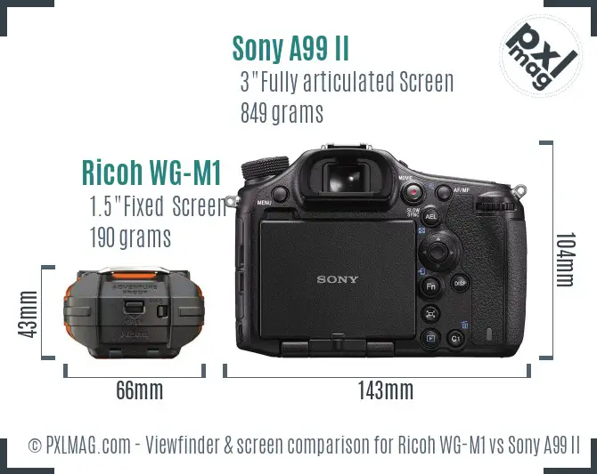 Ricoh WG-M1 vs Sony A99 II Screen and Viewfinder comparison