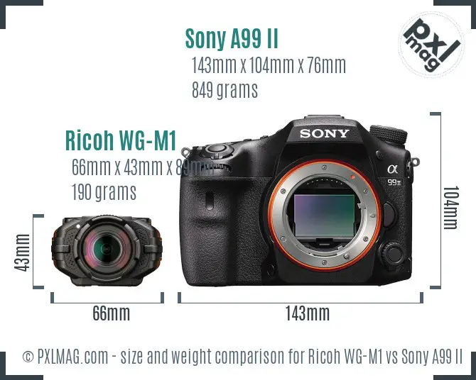 Ricoh WG-M1 vs Sony A99 II size comparison