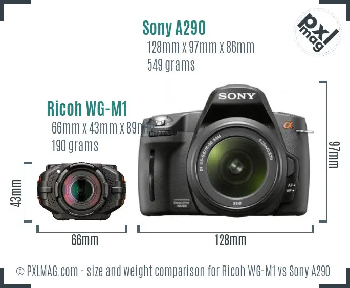 Ricoh WG-M1 vs Sony A290 size comparison