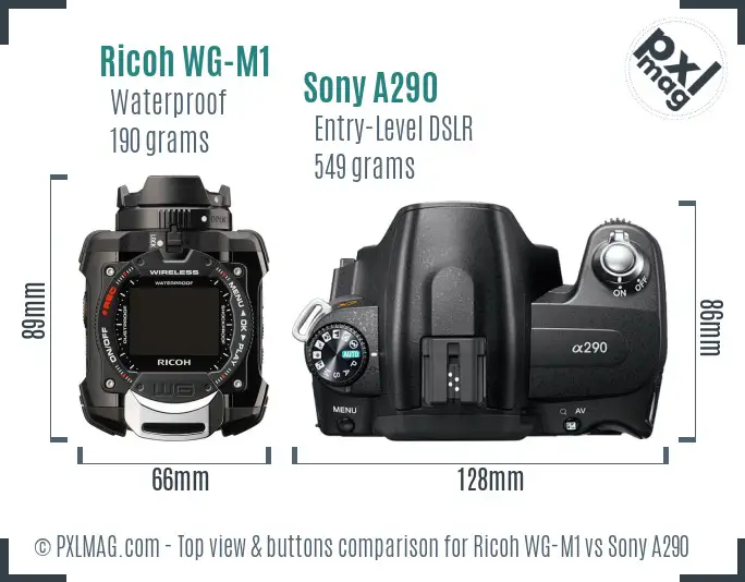 Ricoh WG-M1 vs Sony A290 top view buttons comparison