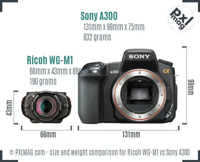 Ricoh WG-M1 vs Sony A300 size comparison