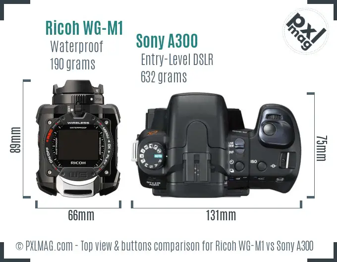 Ricoh WG-M1 vs Sony A300 top view buttons comparison