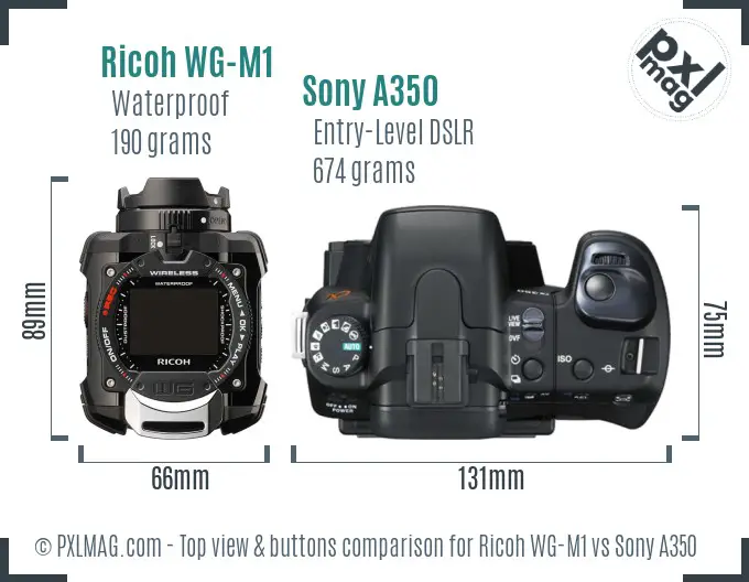 Ricoh WG-M1 vs Sony A350 top view buttons comparison