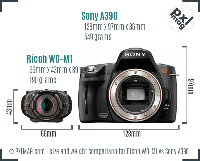Ricoh WG-M1 vs Sony A390 size comparison