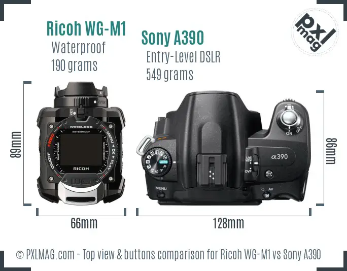 Ricoh WG-M1 vs Sony A390 top view buttons comparison