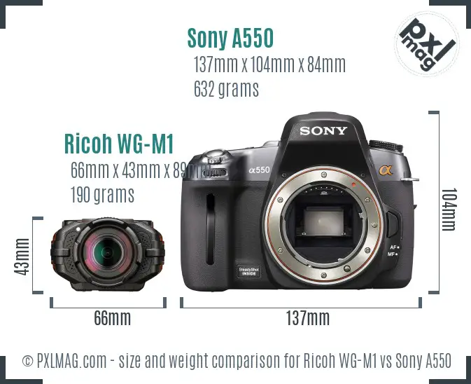 Ricoh WG-M1 vs Sony A550 size comparison