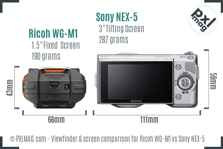 Ricoh WG-M1 vs Sony NEX-5 Screen and Viewfinder comparison