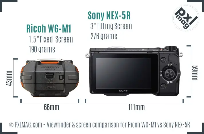 Ricoh WG-M1 vs Sony NEX-5R Screen and Viewfinder comparison