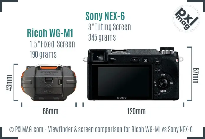 Ricoh WG-M1 vs Sony NEX-6 Screen and Viewfinder comparison