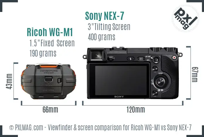 Ricoh WG-M1 vs Sony NEX-7 Screen and Viewfinder comparison