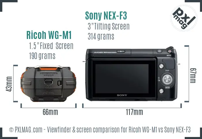 Ricoh WG-M1 vs Sony NEX-F3 Screen and Viewfinder comparison