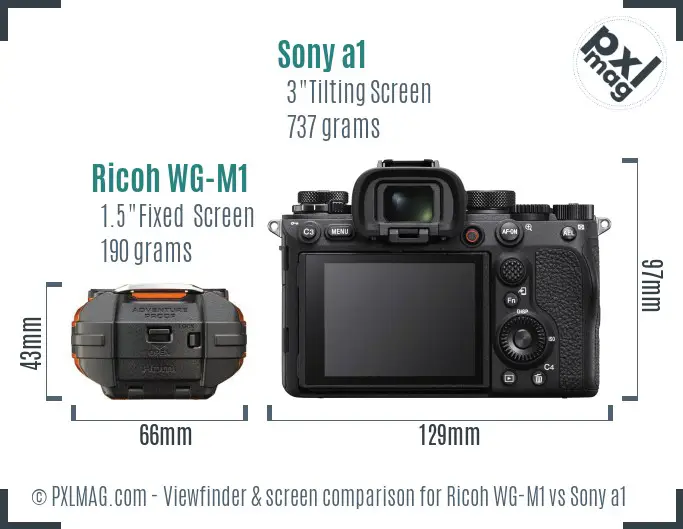 Ricoh WG-M1 vs Sony a1 Screen and Viewfinder comparison