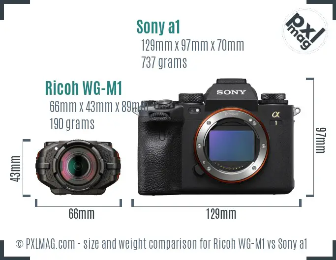Ricoh WG-M1 vs Sony a1 size comparison