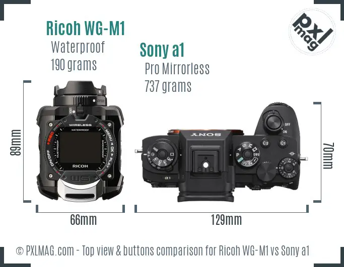 Ricoh WG-M1 vs Sony a1 top view buttons comparison