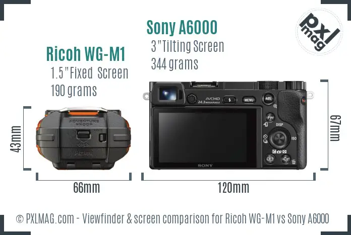 Ricoh WG-M1 vs Sony A6000 Screen and Viewfinder comparison