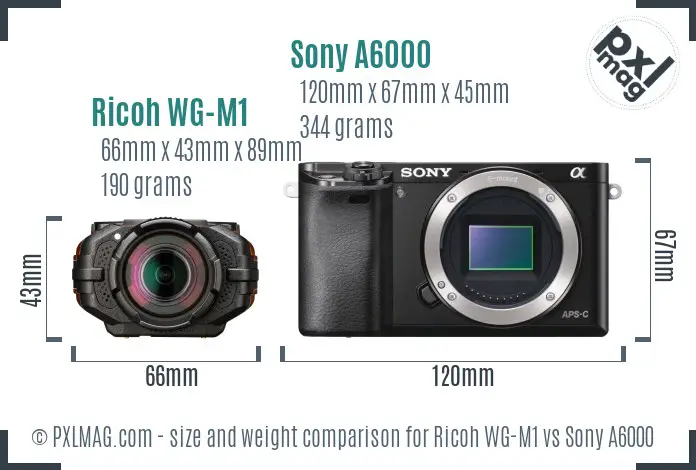 Ricoh WG-M1 vs Sony A6000 size comparison