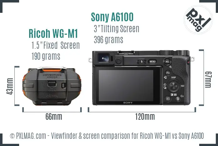 Ricoh WG-M1 vs Sony A6100 Screen and Viewfinder comparison