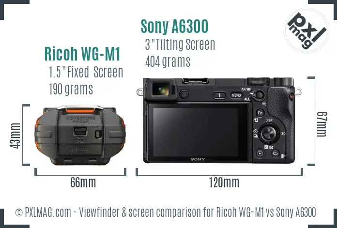 Ricoh WG-M1 vs Sony A6300 Screen and Viewfinder comparison