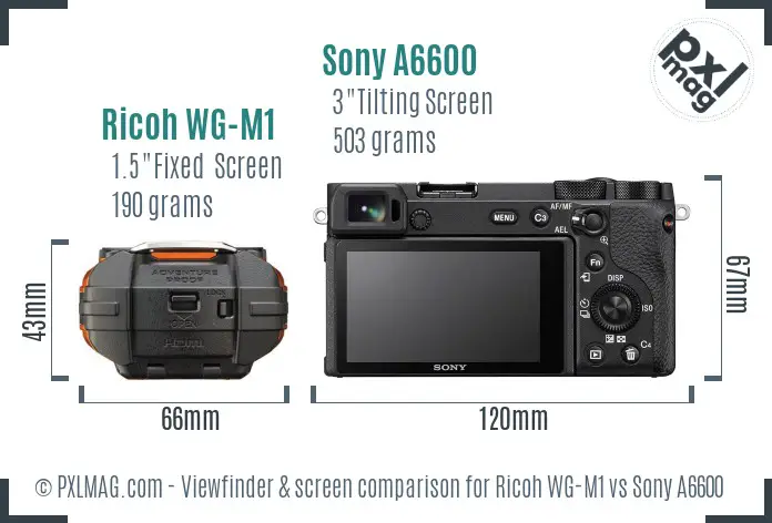 Ricoh WG-M1 vs Sony A6600 Screen and Viewfinder comparison