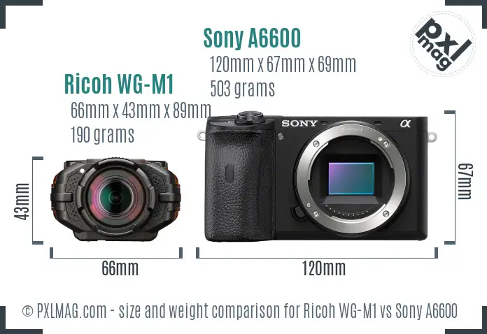 Ricoh WG-M1 vs Sony A6600 size comparison