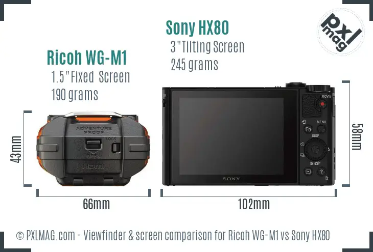 Ricoh WG-M1 vs Sony HX80 Screen and Viewfinder comparison