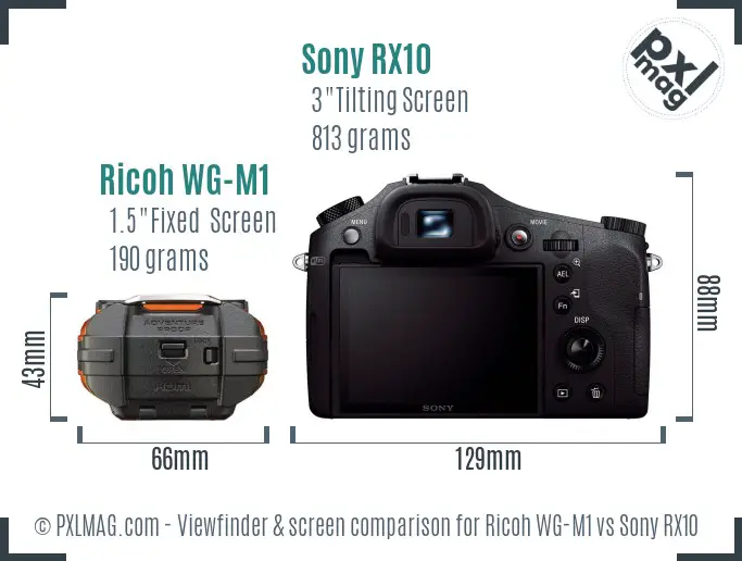 Ricoh WG-M1 vs Sony RX10 Screen and Viewfinder comparison