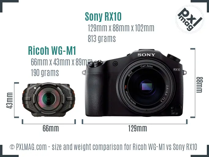 Ricoh WG-M1 vs Sony RX10 size comparison