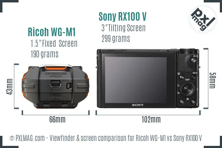 Ricoh WG-M1 vs Sony RX100 V Screen and Viewfinder comparison