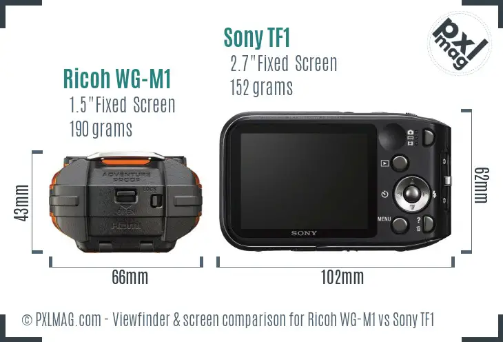 Ricoh WG-M1 vs Sony TF1 Screen and Viewfinder comparison