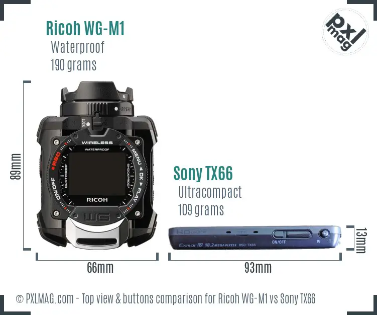 Ricoh WG-M1 vs Sony TX66 top view buttons comparison