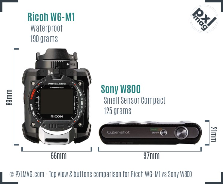 Ricoh WG-M1 vs Sony W800 top view buttons comparison