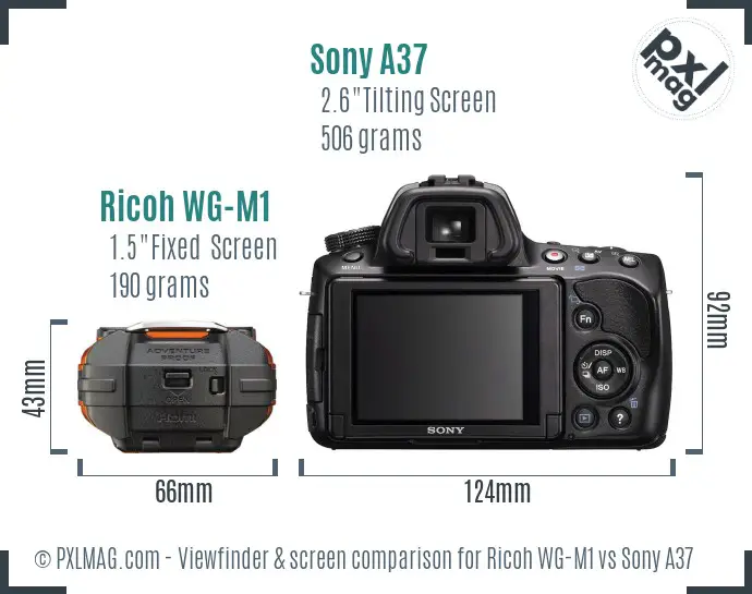 Ricoh WG-M1 vs Sony A37 Screen and Viewfinder comparison