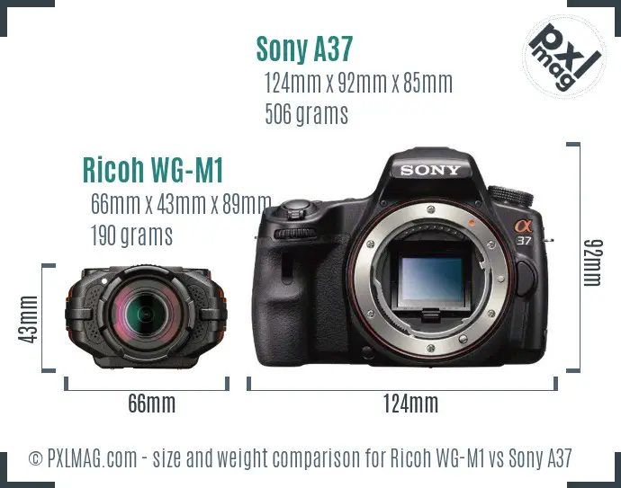 Ricoh WG-M1 vs Sony A37 size comparison