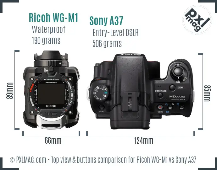 Ricoh WG-M1 vs Sony A37 top view buttons comparison