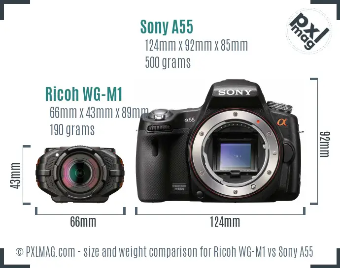 Ricoh WG-M1 vs Sony A55 size comparison