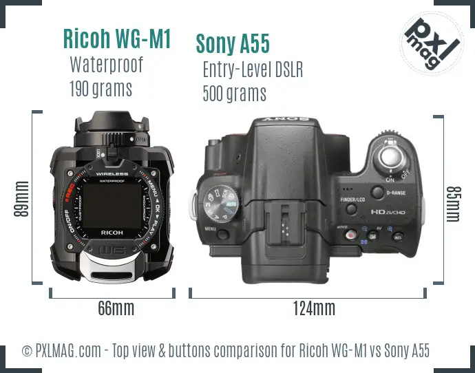 Ricoh WG-M1 vs Sony A55 top view buttons comparison