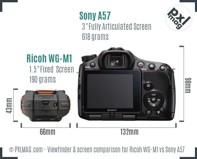 Ricoh WG-M1 vs Sony A57 Screen and Viewfinder comparison