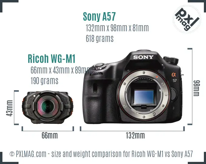 Ricoh WG-M1 vs Sony A57 size comparison