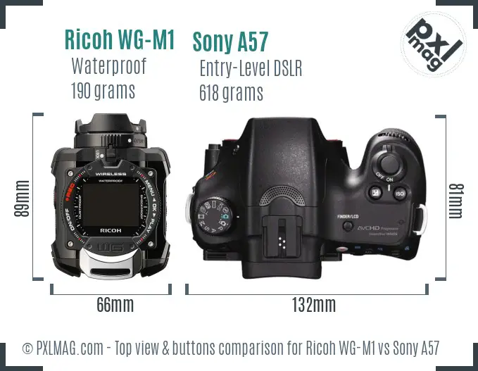 Ricoh WG-M1 vs Sony A57 top view buttons comparison