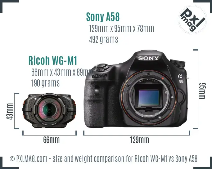 Ricoh WG-M1 vs Sony A58 size comparison