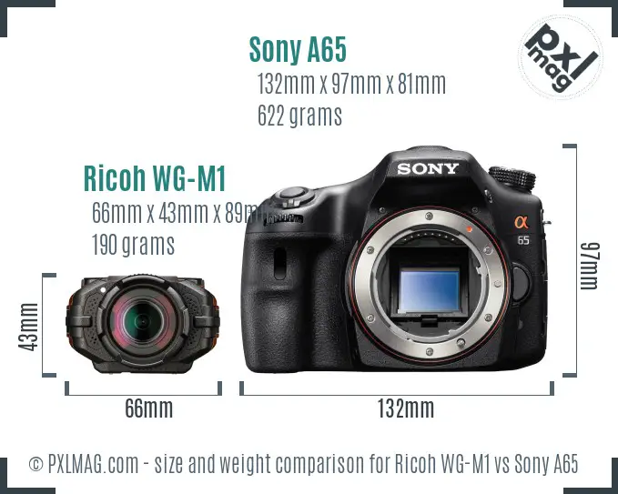 Ricoh WG-M1 vs Sony A65 size comparison