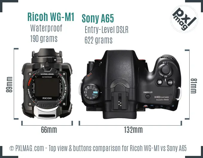 Ricoh WG-M1 vs Sony A65 top view buttons comparison
