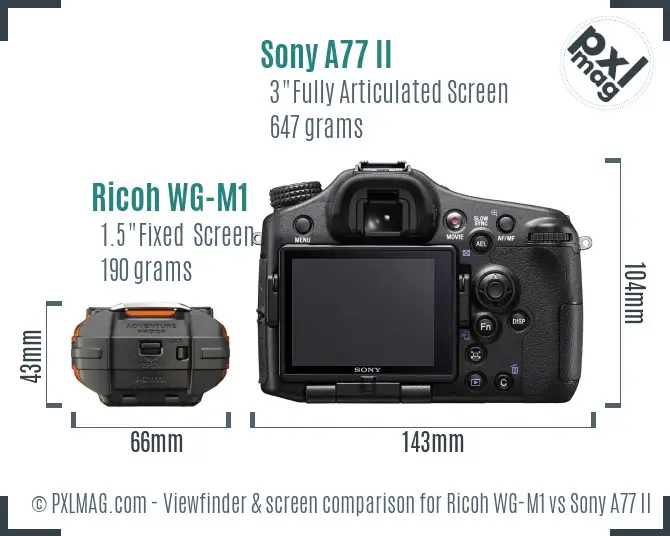 Ricoh WG-M1 vs Sony A77 II Screen and Viewfinder comparison