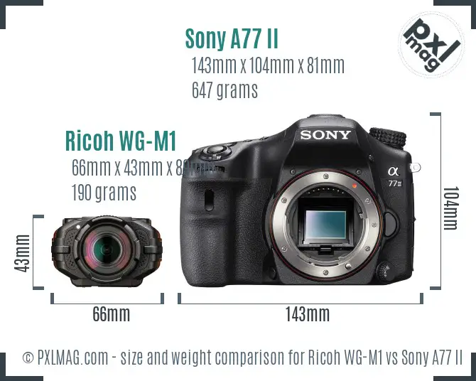 Ricoh WG-M1 vs Sony A77 II size comparison