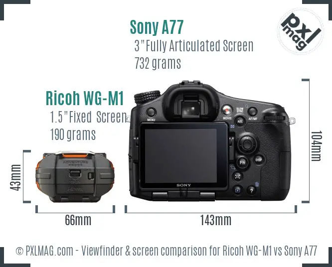 Ricoh WG-M1 vs Sony A77 Screen and Viewfinder comparison
